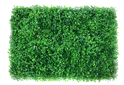 Peanut grass
